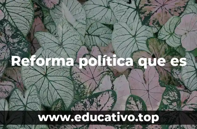 Reforma política que es
