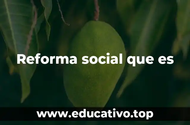Reforma social que es