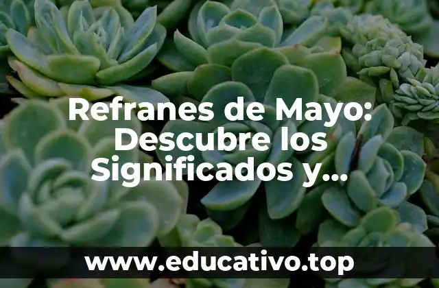 Refranes de Mayo: Descubre los Significados y Tradiciones detrás de estos Dichos Populares