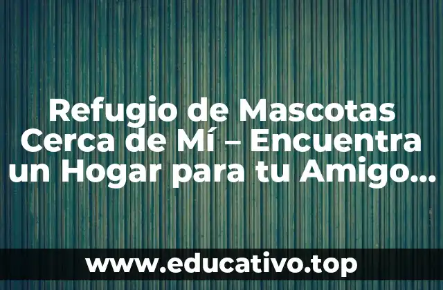 Refugio de Mascotas Cerca de Mí – Encuentra un Hogar para tu Amigo Fiel