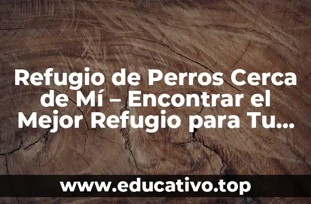 Refugio de Perros Cerca de Mí – Encontrar el Mejor Refugio para Tu Amigo Canino