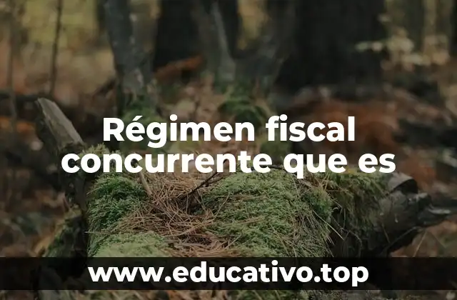 Régimen fiscal concurrente que es