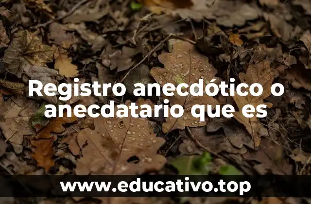 Registro anecdótico o anecdatario que es