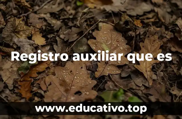 Registro auxiliar que es