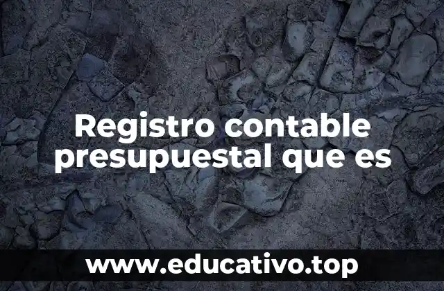 Registro contable presupuestal que es