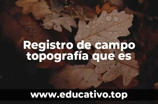 Registro de campo topografía que es
