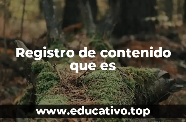 Registro de contenido que es