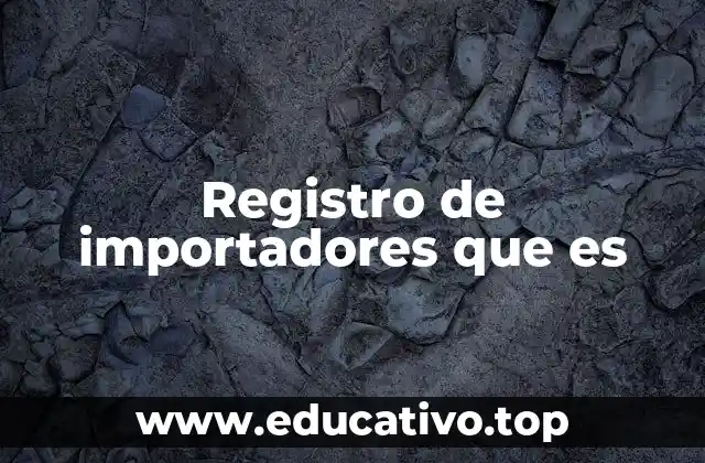 Registro de importadores que es