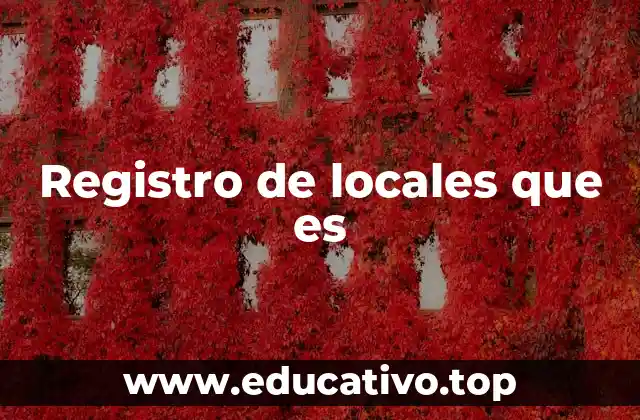 Registro de locales que es