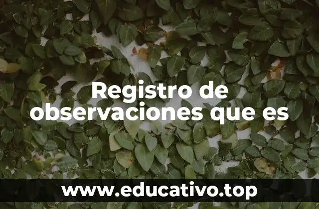 Registro de observaciones que es