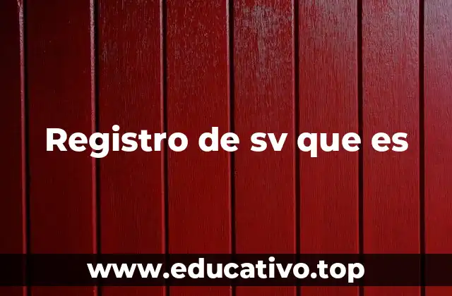 Registro de sv que es