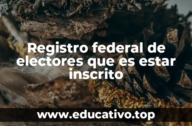 Registro federal de electores que es estar inscrito
