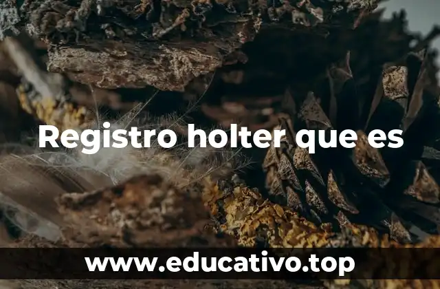 Registro holter que es