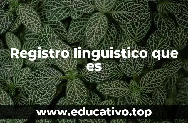 Registro linguistico que es