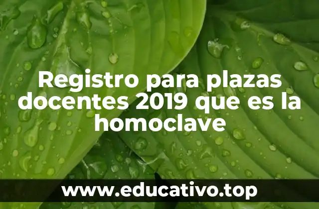 Registro para plazas docentes 2019 que es la homoclave