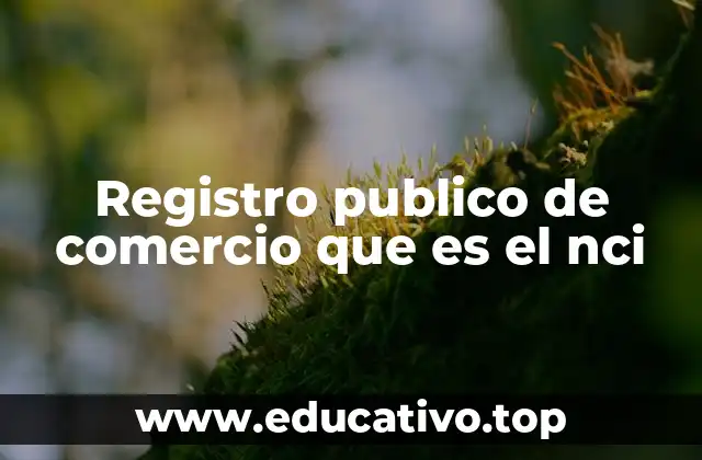 El Registro Público de Comercio y su rol en la economía colombiana