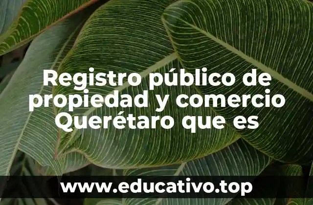 Registro público de propiedad y comercio Querétaro que es