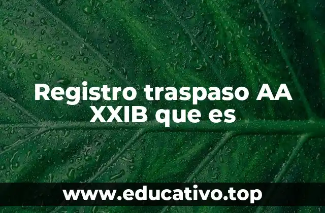 Registro traspaso AA XXIB que es