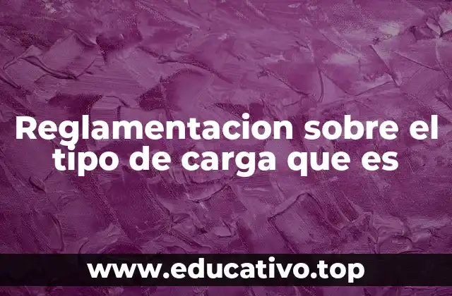 Reglamentacion sobre el tipo de carga que es