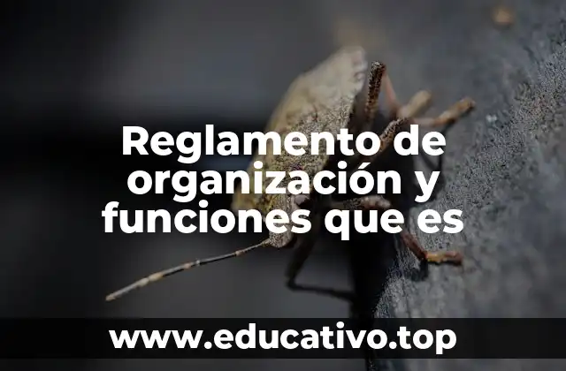 Reglamento de organización y funciones que es