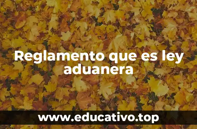 La importancia de las normativas aduaneras en el comercio internacional
