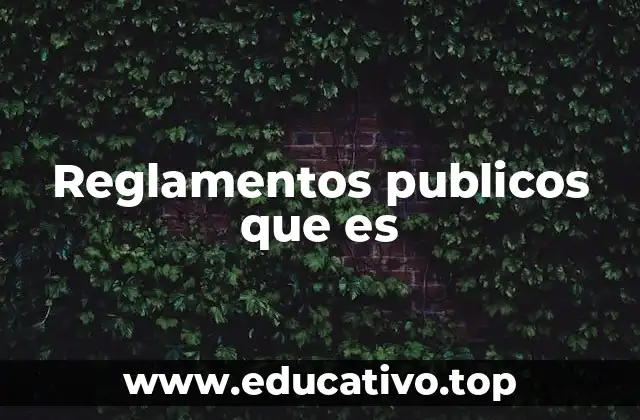 Reglamentos publicos que es