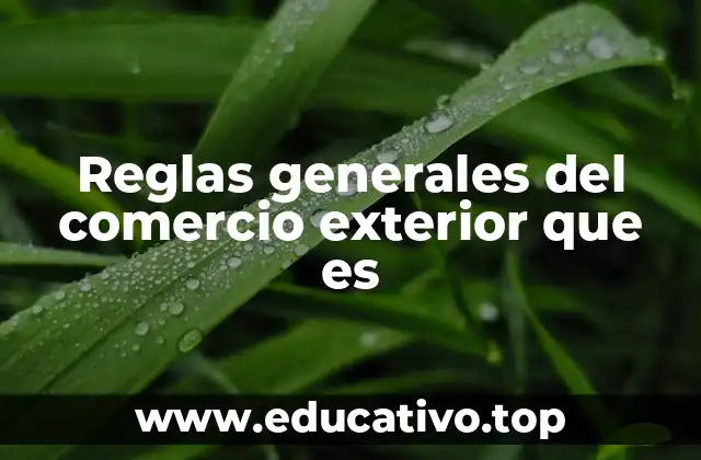 Reglas generales del comercio exterior que es