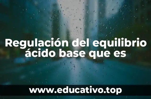 ¿Cómo mantiene el cuerpo su equilibrio interno?