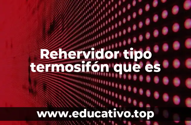 Rehervidor tipo termosifón que es