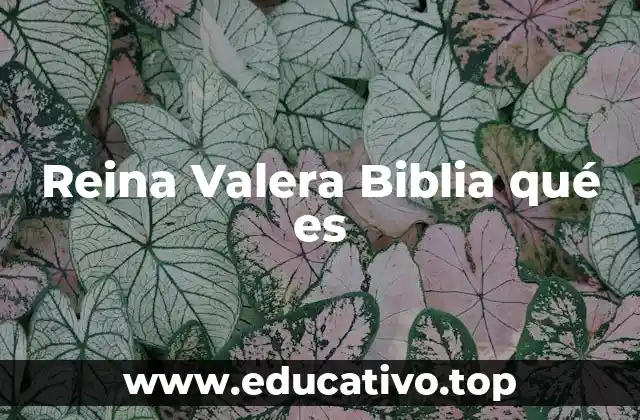 Reina Valera Biblia qué es