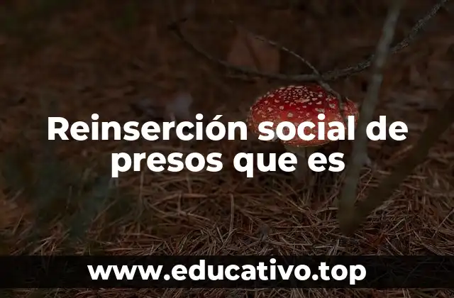 Reinserción social de presos que es
