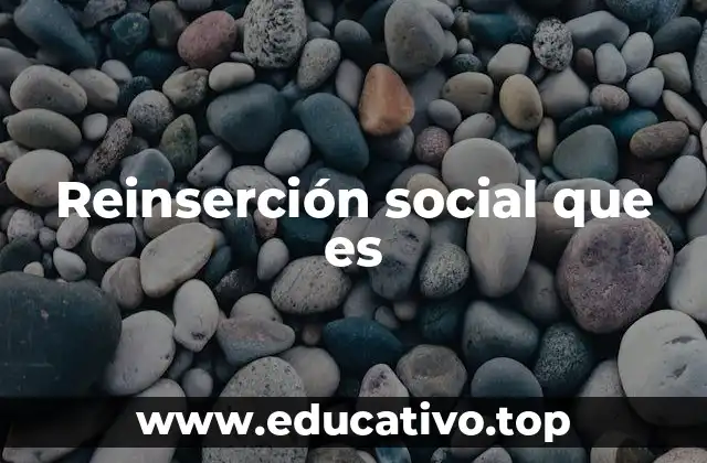 Reinserción social que es