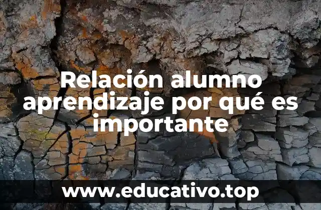 Relación alumno aprendizaje por qué es importante