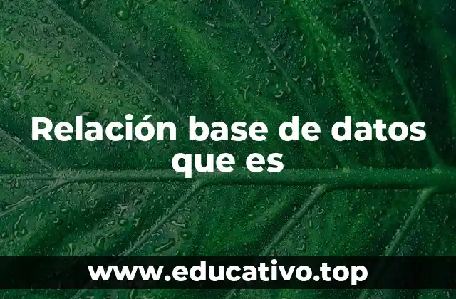 Relación base de datos que es