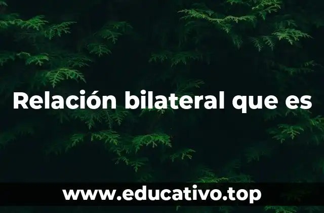 Relación bilateral que es