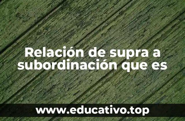 Relación de supra a subordinación que es