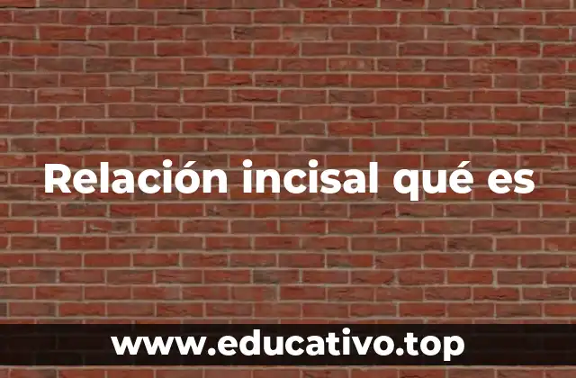 Relación incisal qué es
