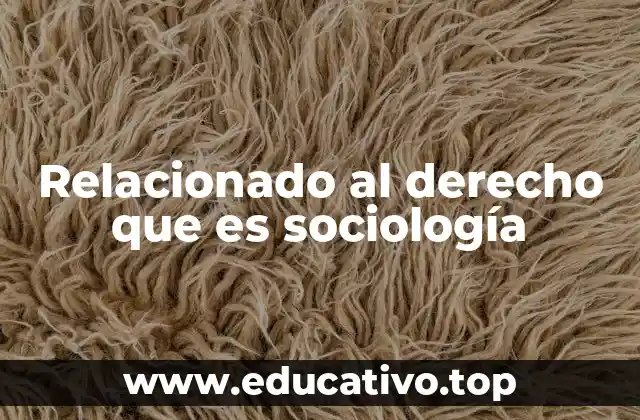 Relacionado al derecho que es sociología