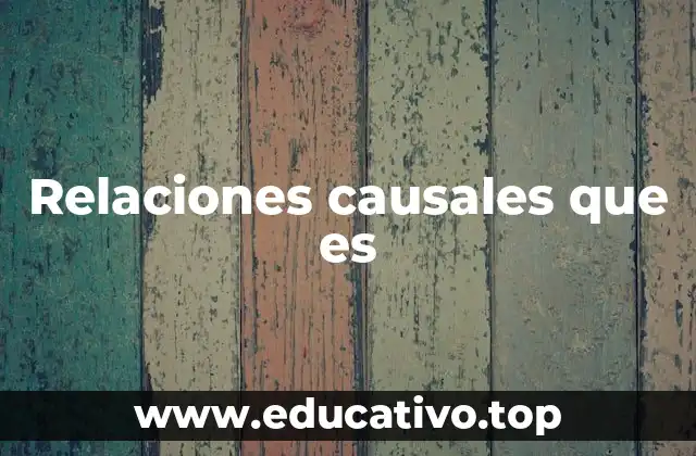 Relaciones causales que es
