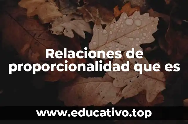 Relaciones de proporcionalidad que es