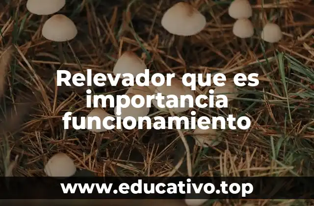 Relevador que es importancia funcionamiento