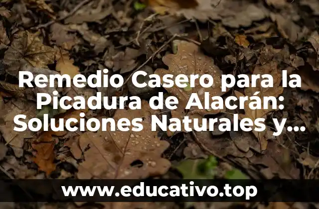 Remedio Casero para la Picadura de Alacrán: Soluciones Naturales y Efectivas