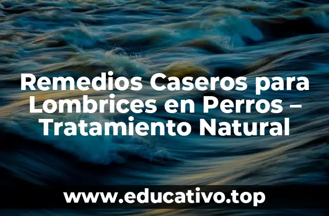 Remedios Caseros para Lombrices en Perros – Tratamiento Natural