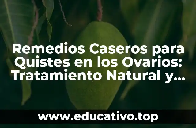 Remedios Caseros para Quistes en los Ovarios: Tratamiento Natural y Efectivo