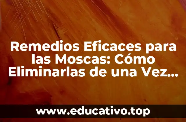 Remedios Eficaces para las Moscas: Cómo Eliminarlas de una Vez por Todas