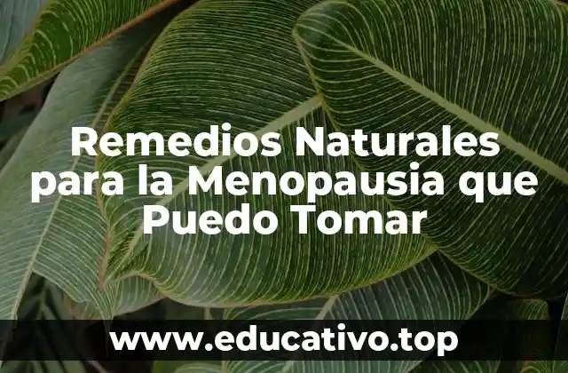 Remedios Naturales para la Menopausia que Puedo Tomar