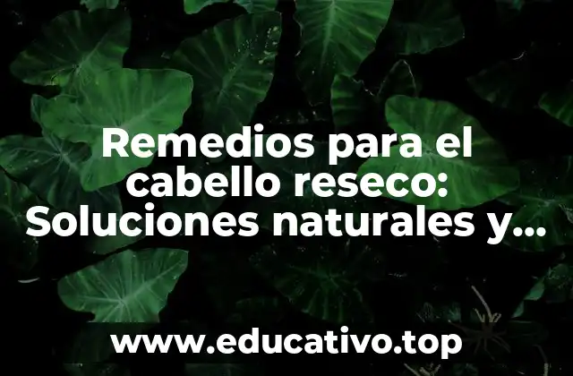 Remedios para el cabello reseco: Soluciones naturales y efectivas