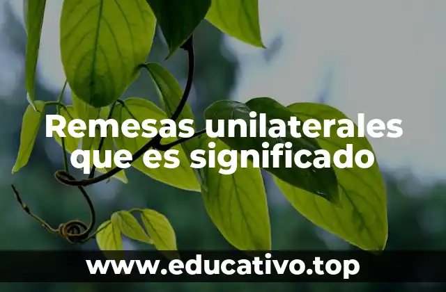 Remesas unilaterales que es significado