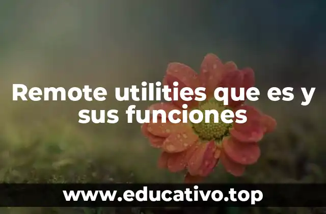 Remote utilities que es y sus funciones