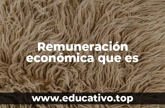 Remuneración económica que es